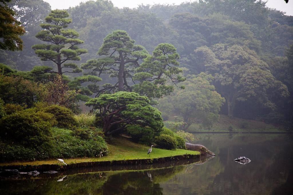 Tora Hotel Tokyo-Rikugienn 寅ホテル 六義園 A المظهر الخارجي الصورة